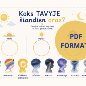 Koks TAVYJE šiandien oras?
