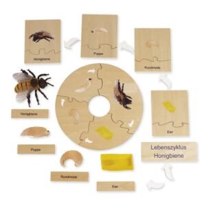 TimeTEX Bitės Gyvenimo ciklas, medinėje dėžutėje, Vokiška versija „Montessori Premium
