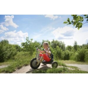 Winther Viking Explorer triratukas Easy Rider